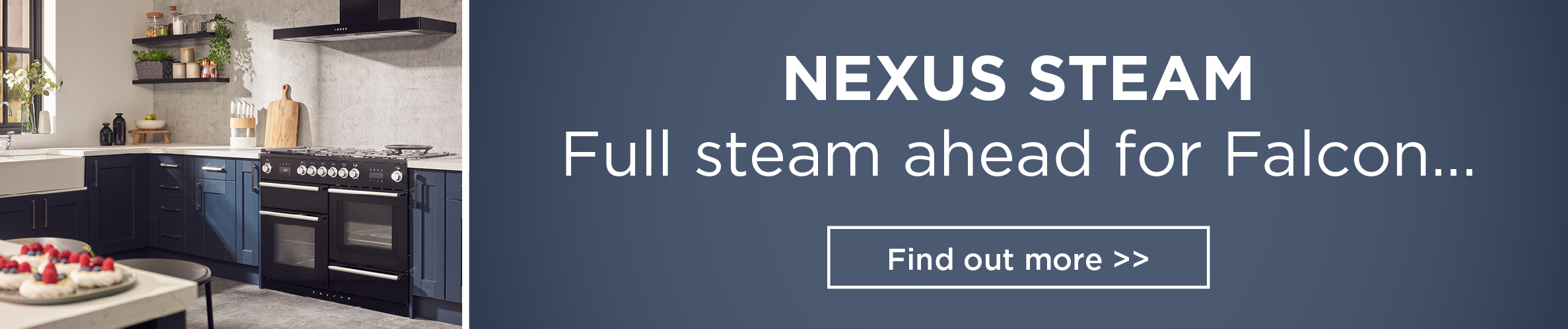 Nexus Steam