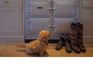 Dog and boots in front of AGA eR7 Series cooker 